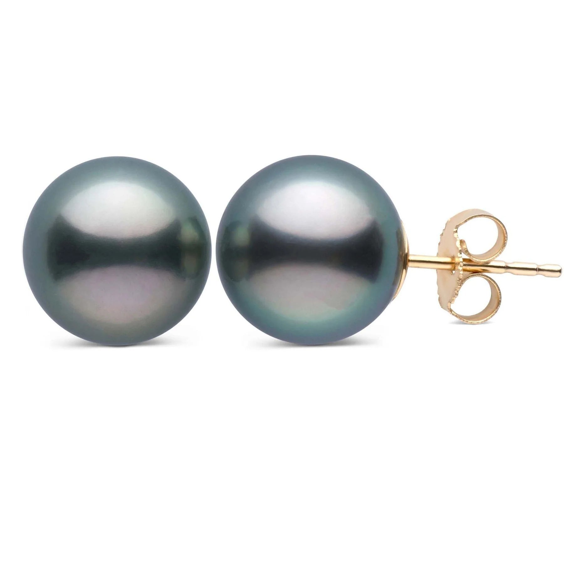 Tahitian Pearl Stud Earrings